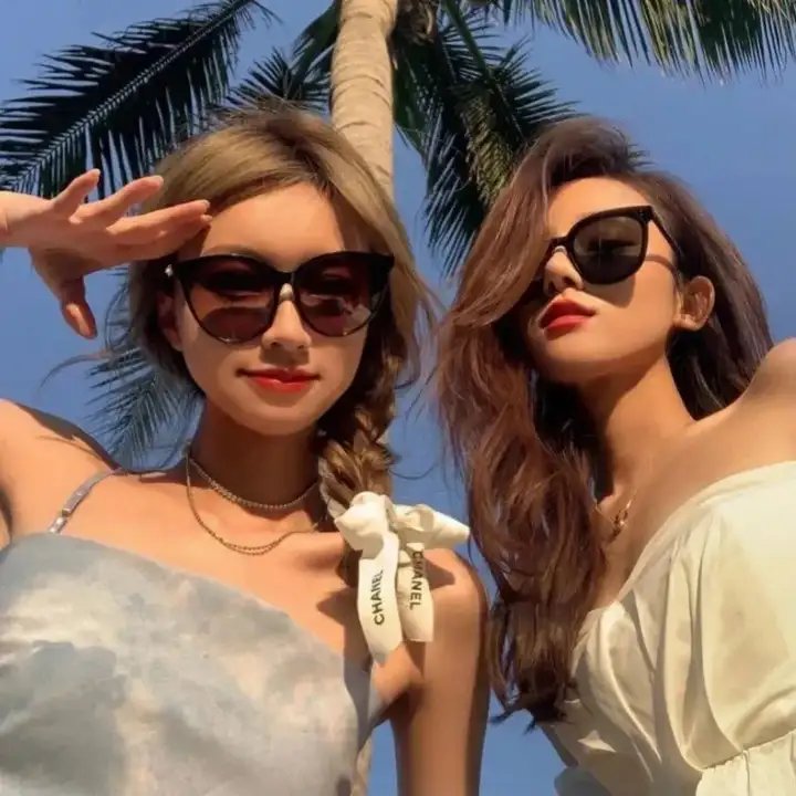 夏日的玫瑰