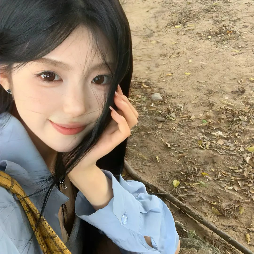 风流家族