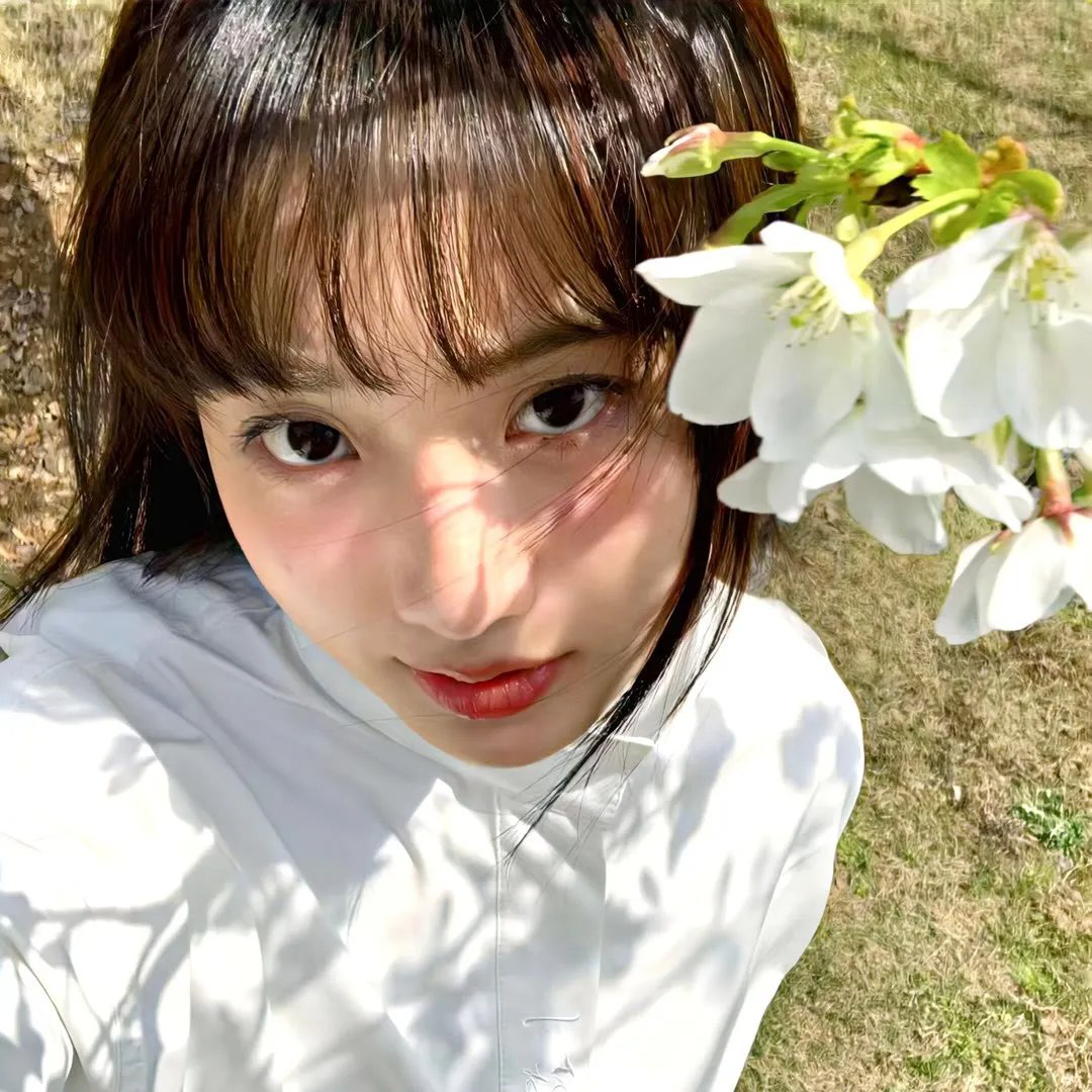 穿靴子的猫2